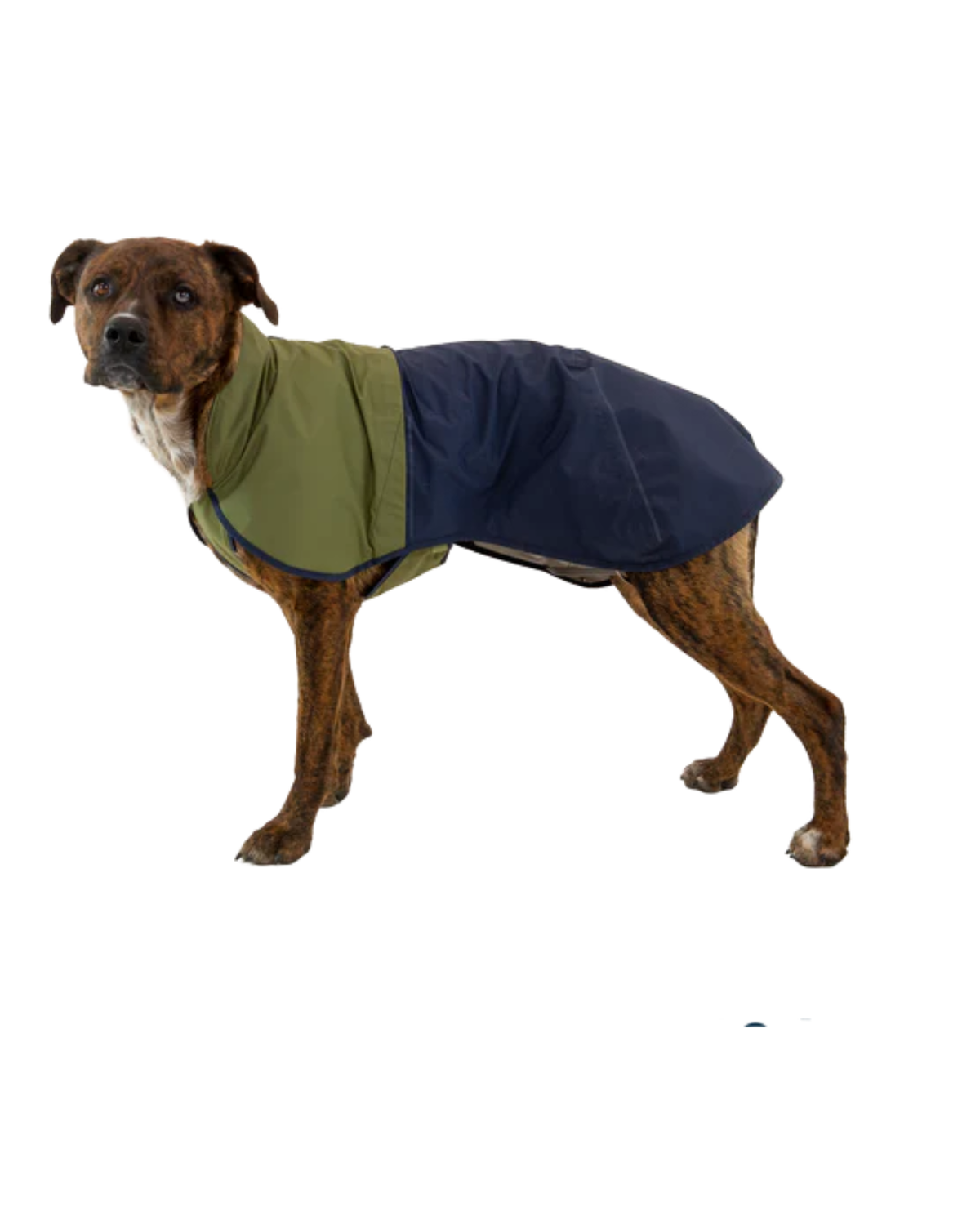 Sun Shower™ Dog Raincoat in Midnight Blue