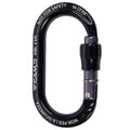 Camp Ekto Lock Accessory Carabiner
