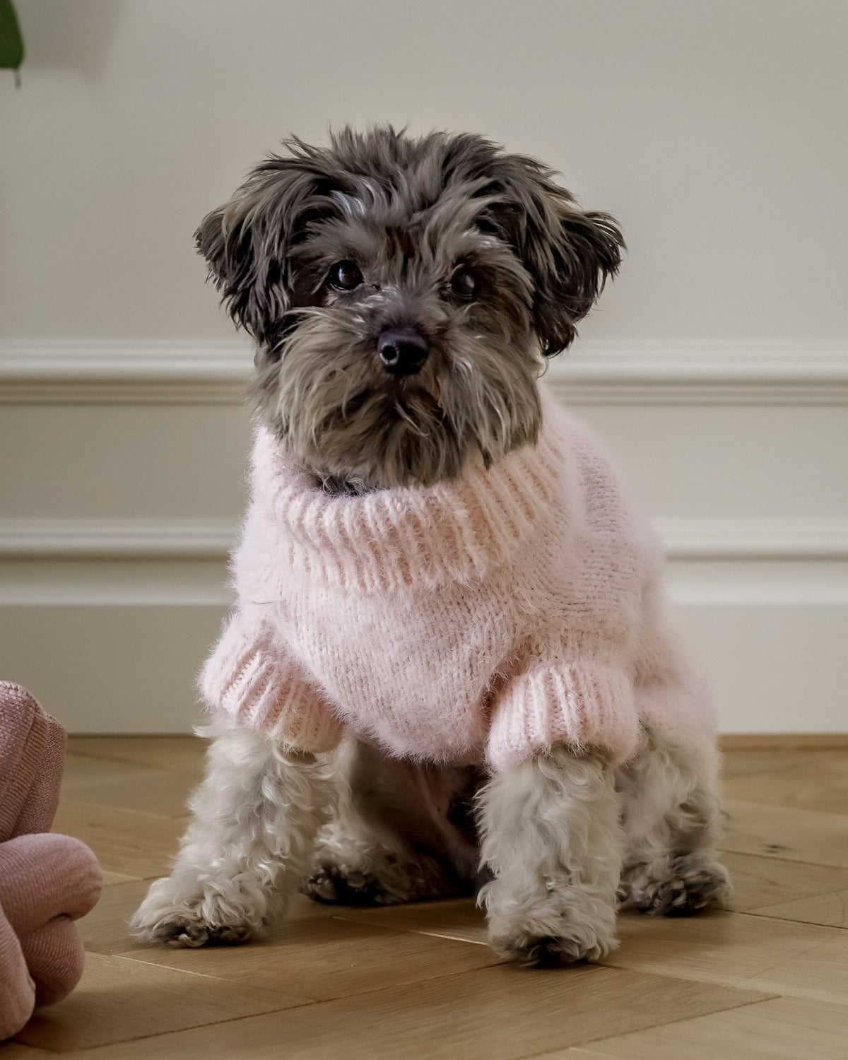 Bobbi Blush Eyelash Knit Dog Sweater
