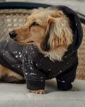 Ziggy Charcoal Paint Splatter Dog Hoodie