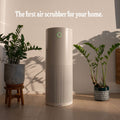 Jaspr Air Scrubber