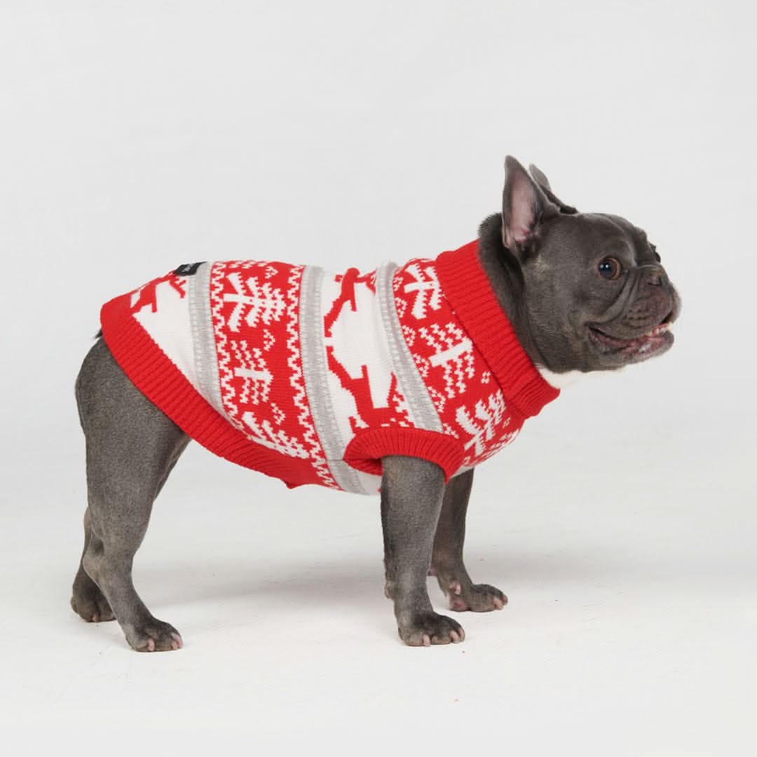 Christmas Knit Dog Sweater