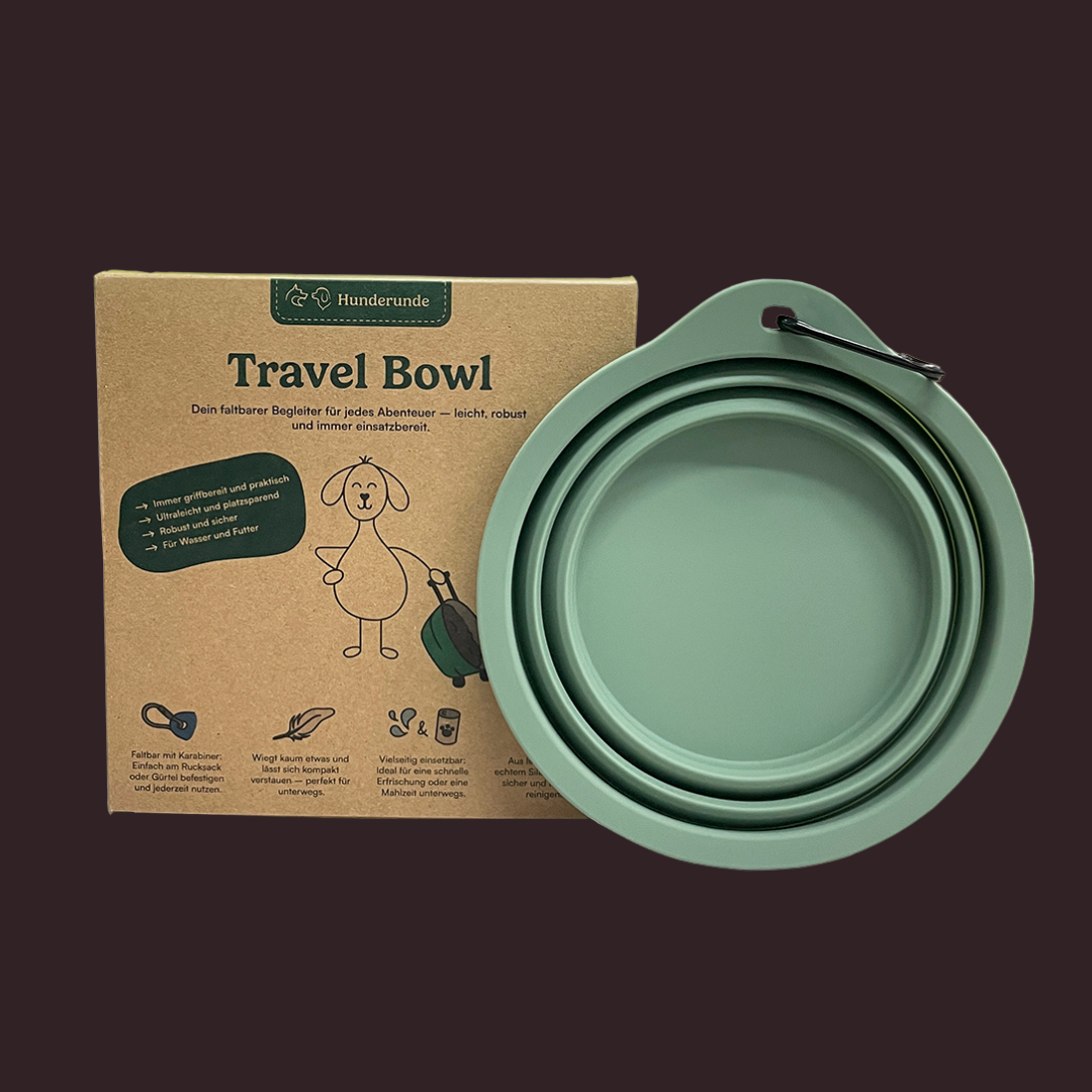 Travel Bowl