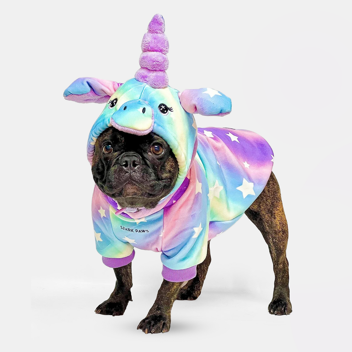 Halloween Dog Hoodies (Limited Edition)