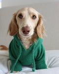 Venice Kelly Green Dog Hoodie
