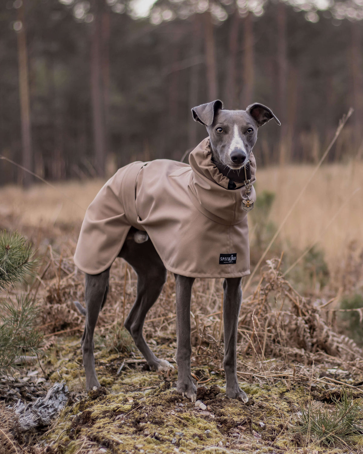 THE ROXY Lightweight, Water Resistant, Whippet Raincoat